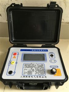 3123高压表摇表