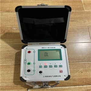 ZC-402水内冷发电机绝缘电阻测试仪