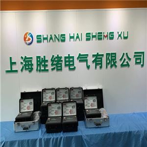 DY2672G数字高压绝缘电阻测试仪